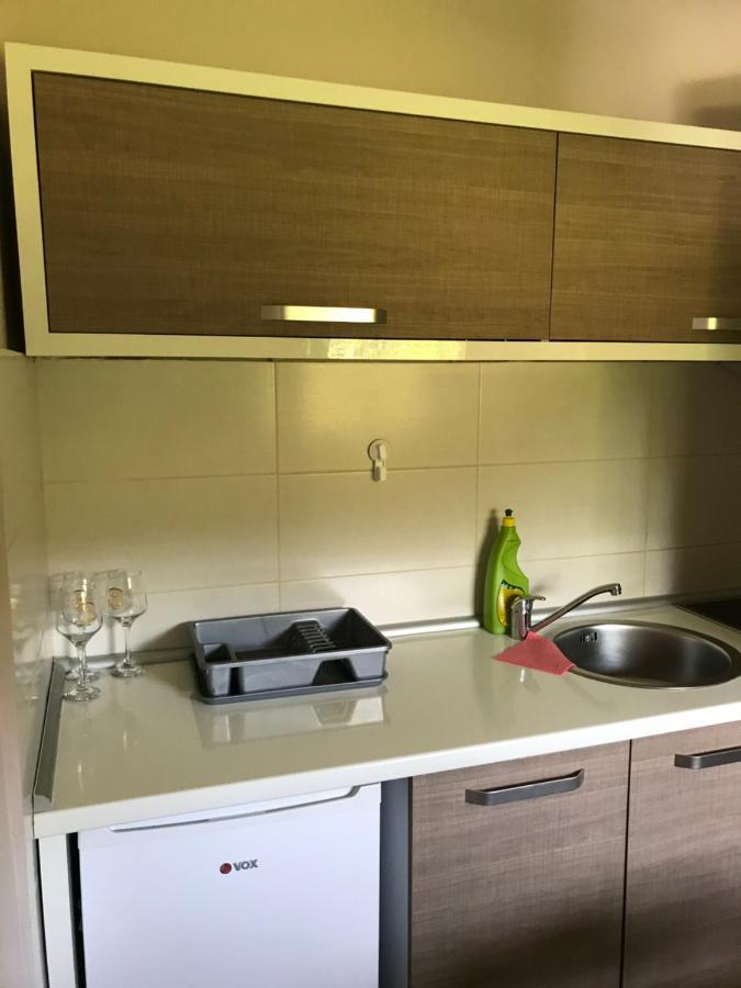 Apartman “Reka Gradac” 발제보 외부 사진